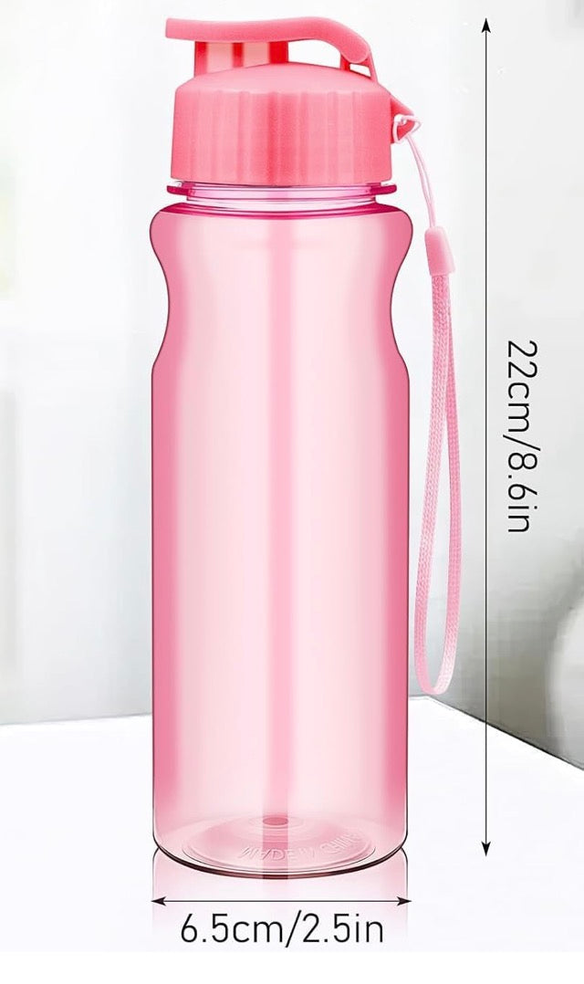 Kids Water Bottles 500ml Flip Top